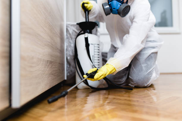 Best Best Pest Control Companies  in Una, WA