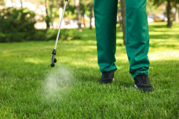 Best Local Pest Control Services  in Una, WA