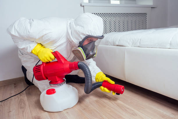 Best Local Pest Control Services  in Una, WA