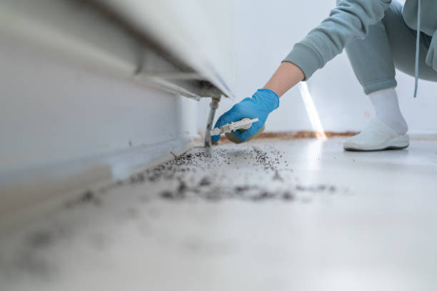 Best Pest Removal Services  in Una, WA